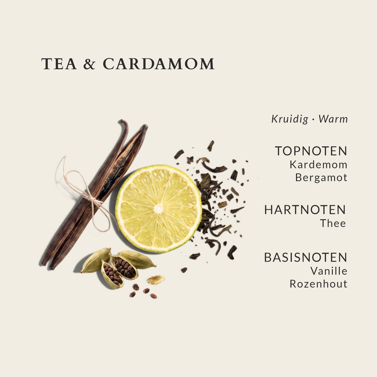 Boutique Geurkaars Tea & Cardamom in pot - 10cm