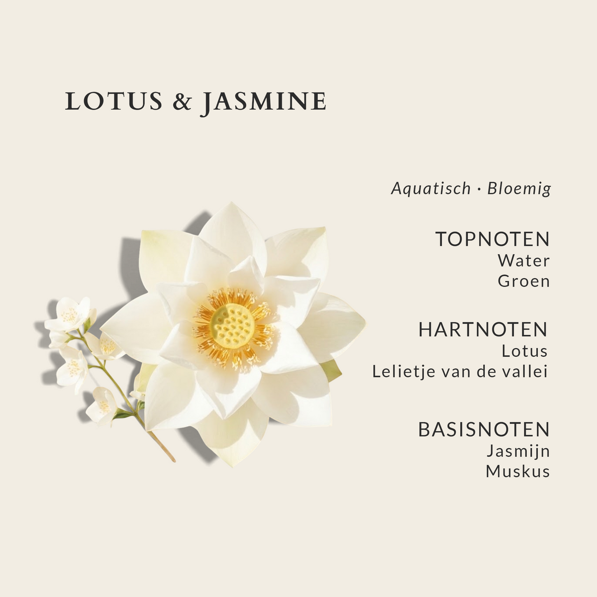 Riverdale Lotus & Jasmine fragrance notes graphic featuring a white lotus flower and jasmine blossoms on beige