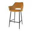Kleur: Bruin