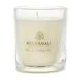 Boutique Geurkaars in pot Tea & Cardamom 10cm groen