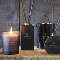 Boutique Geurstokjes Forest & Patchouli 140ml zwart