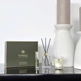 Cadeau Boutique S Tea & Cardamom