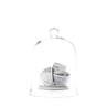 Cloche Romance 30cm transparent