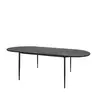 Eetkamertafel Scott ovaal 220cm zwart