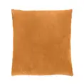 Sierkussen Emmy 45x45cm goud