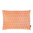 Kleur: Oranje