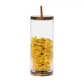 Vorratsdose Pip 31cm transparent
